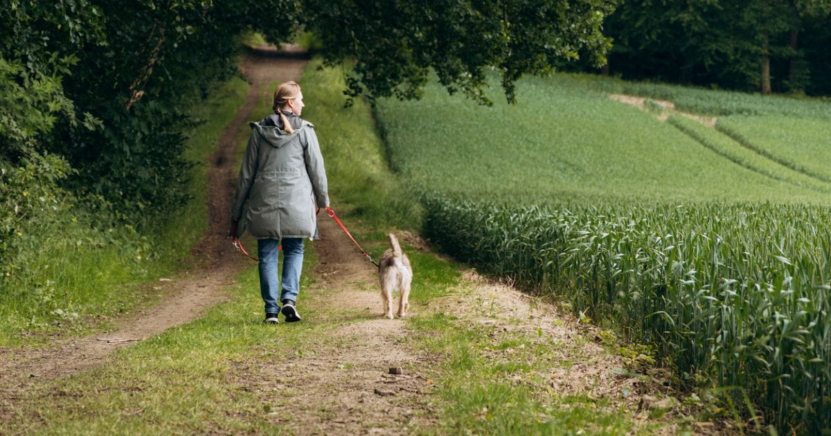 Dog friendly nature walks Kent Surrey Sussex