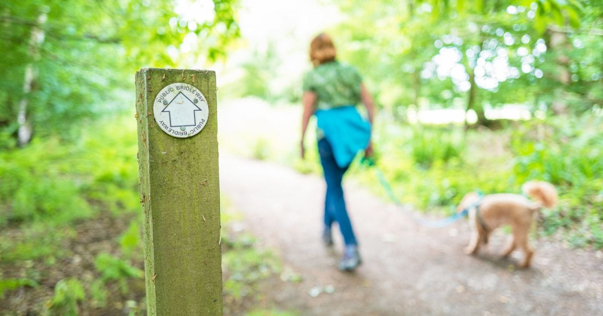 Nature walks for dogs
