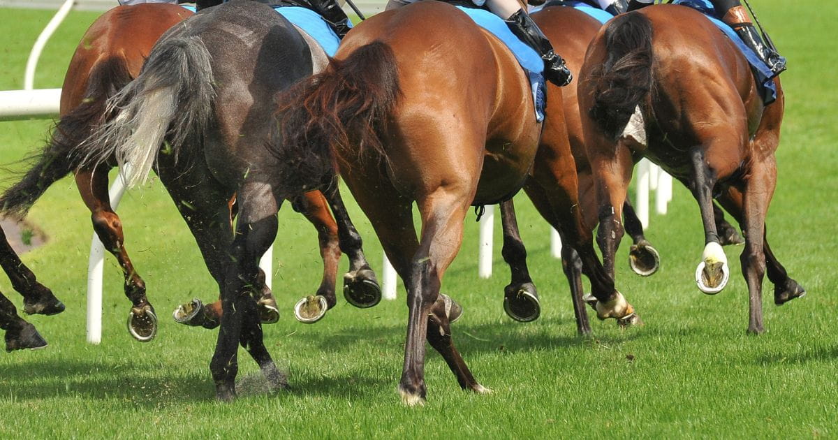 Epsom Derby Horses