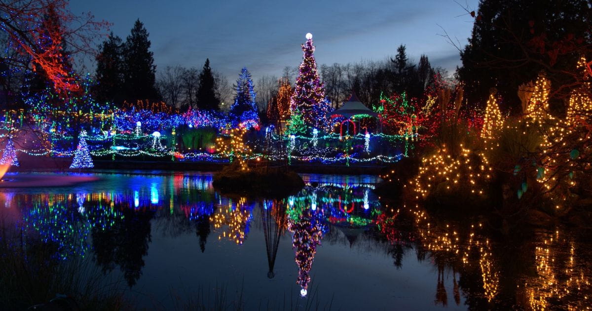Christmas light show festive family event
