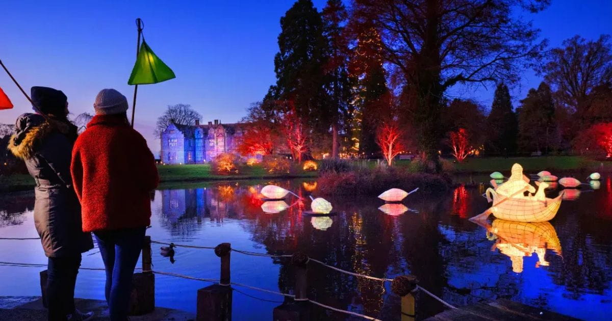 Glow Wild Wakehurst