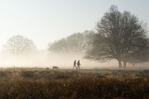 Winter walks for mental health