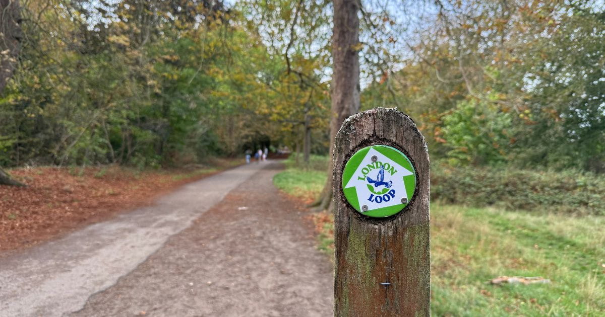 London Loop walks near London forest woodland