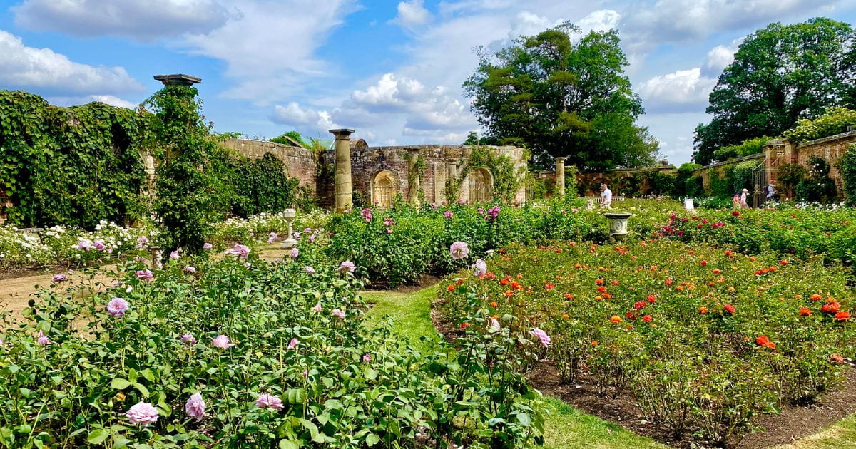 The beautiful rose garden at Hever Castle and Gardens
