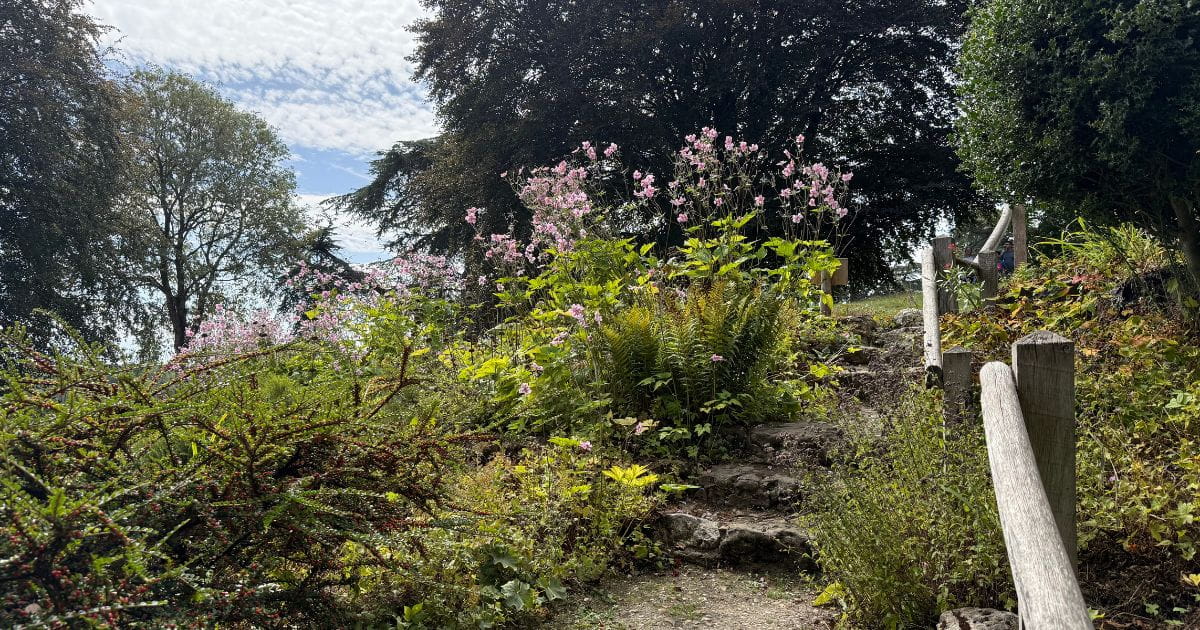 Gatton Park Rock Garden