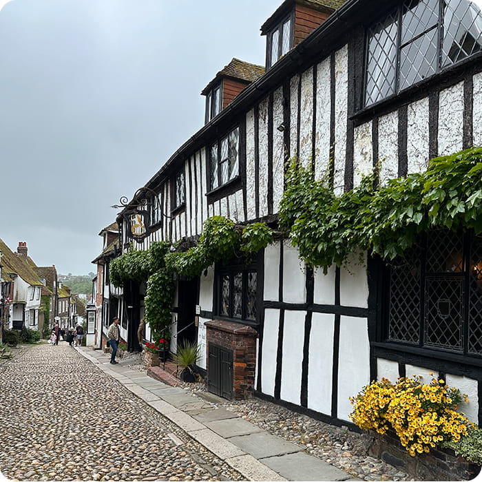 Rye castle