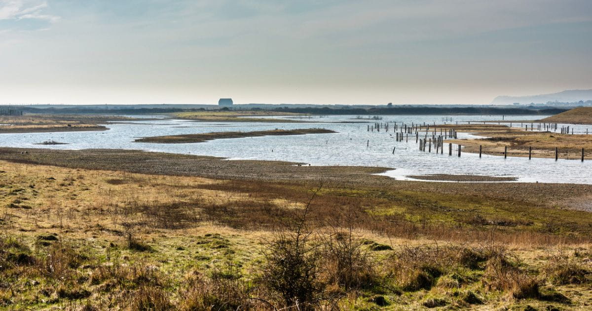 Rye Harbour Nature Reserve