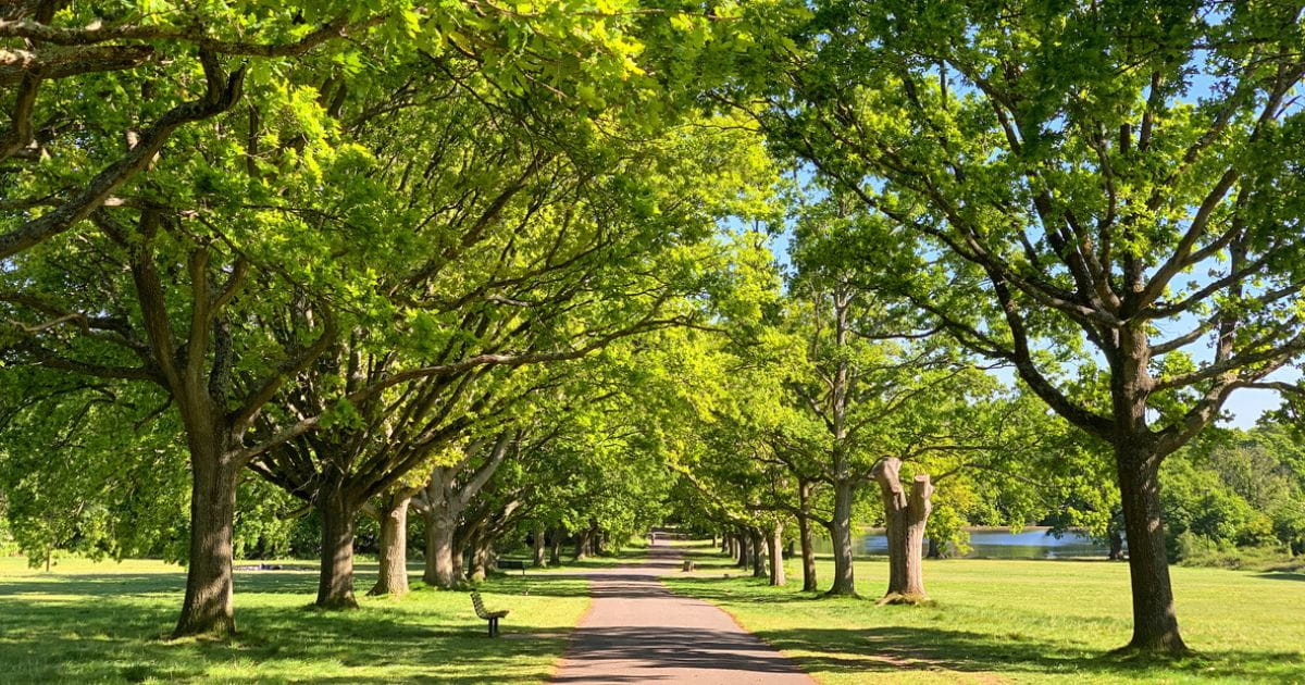 Southampton Common outdoor things to do in Hampshire