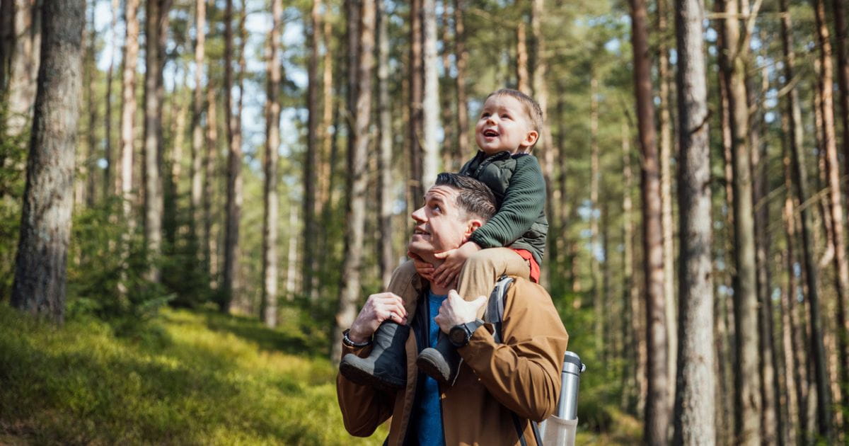 A man carrying a small child on his shoulders walking through woodland