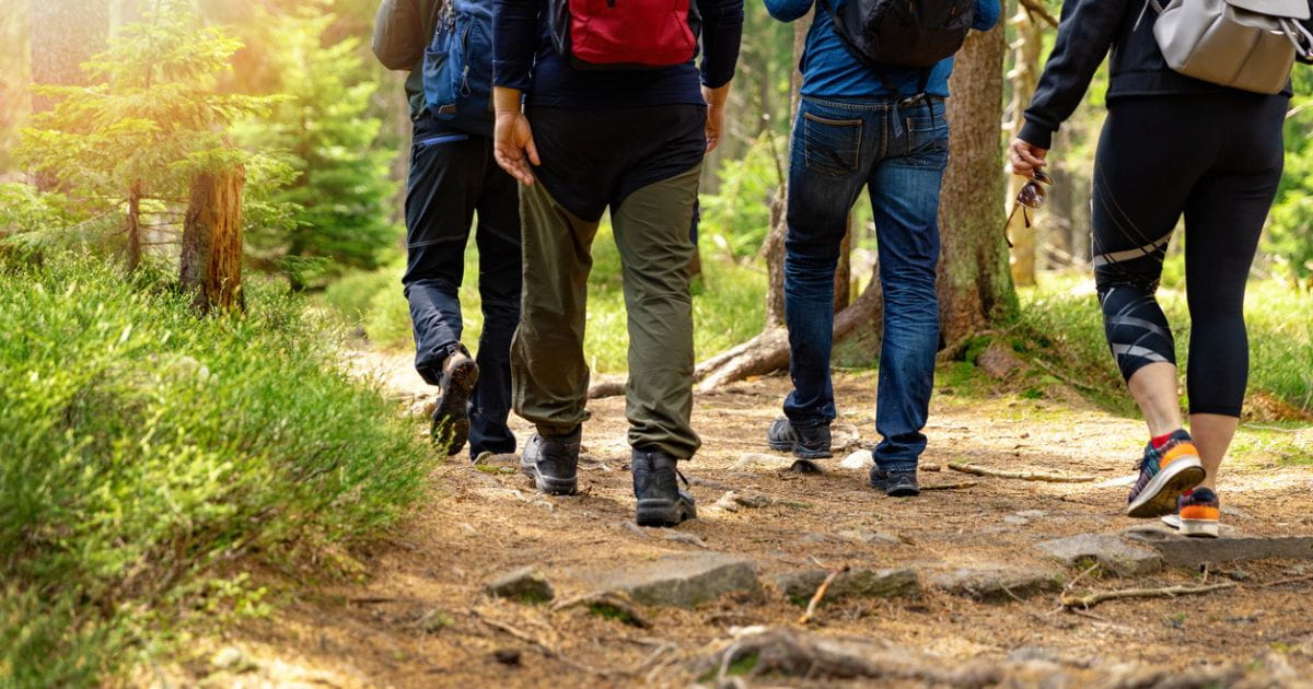 A close up photo of people walking through woodland