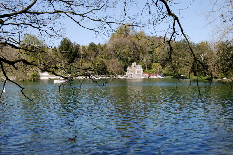 a body of water surrounded by trees