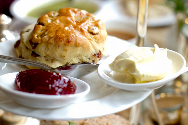 a close up of a plate of food